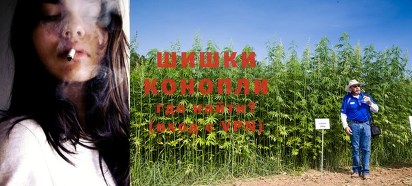 прущие крисы Баксан