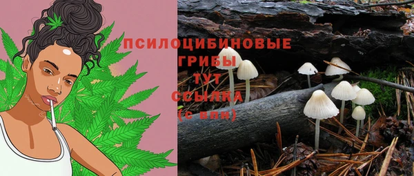 прущие крисы Баксан