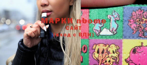 индика Арсеньев