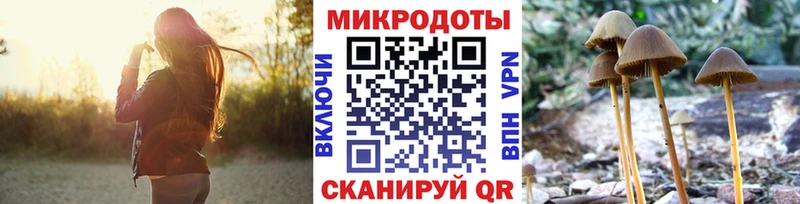 Купить закладки  Волосово  Псилоцибиновые грибы Psilocybine cubensis 